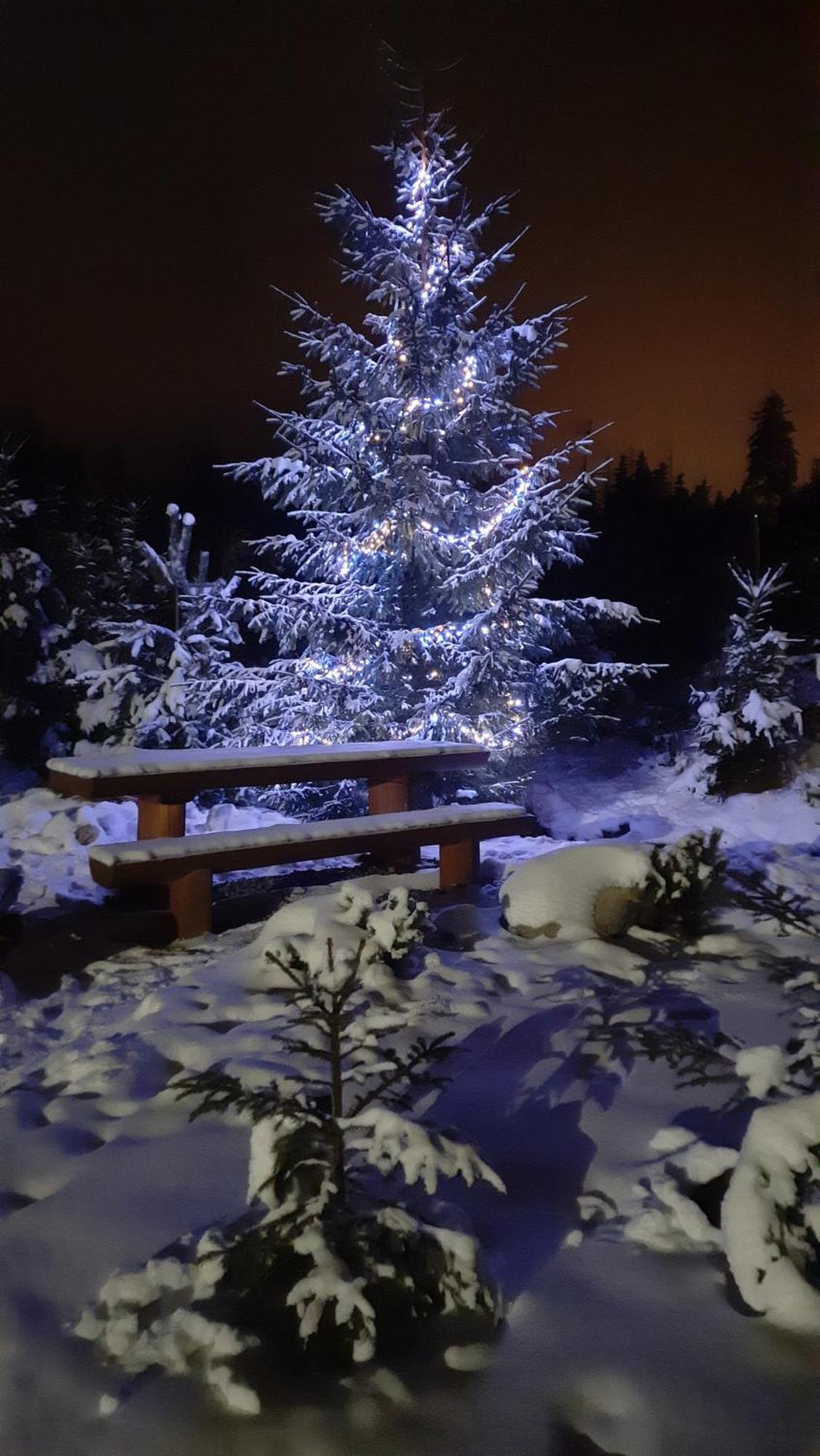 Goralska Chata Przy Dolinie Chocholowskiej Witów 외부 사진